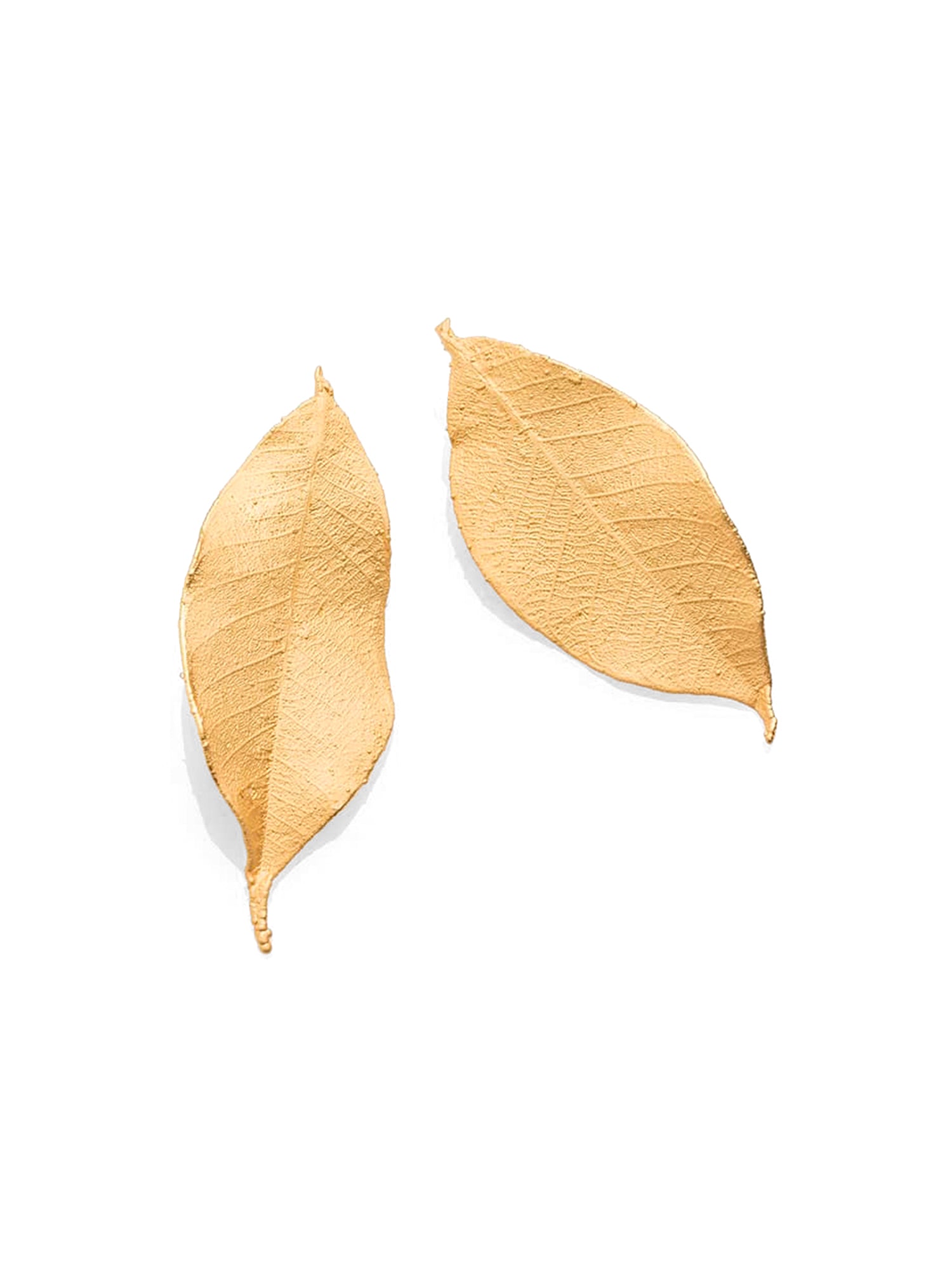 Encenillo Earrings