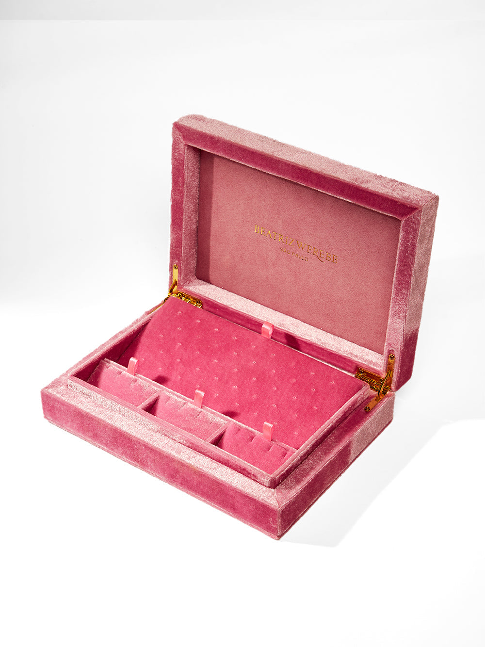 Beatriz Werebe | Piercing Collector Box – Kirna Zabête