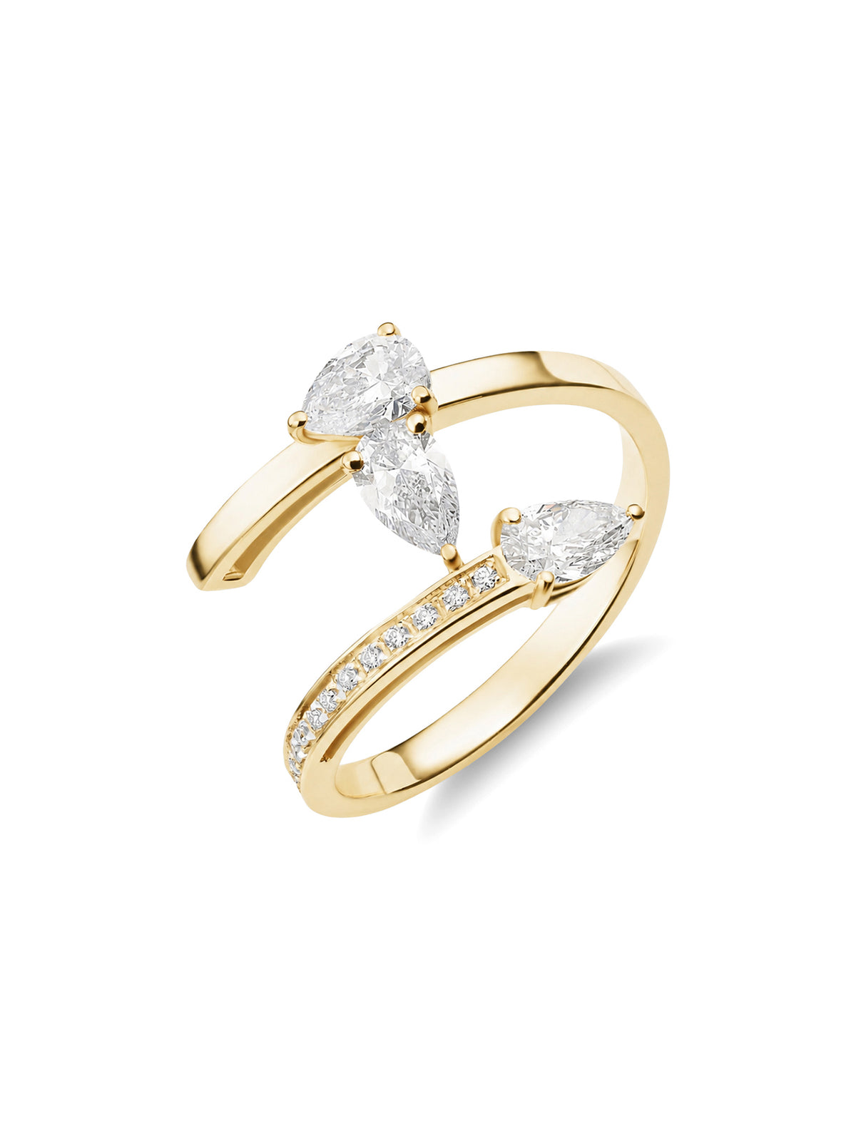 Dizzy Embrace Ring