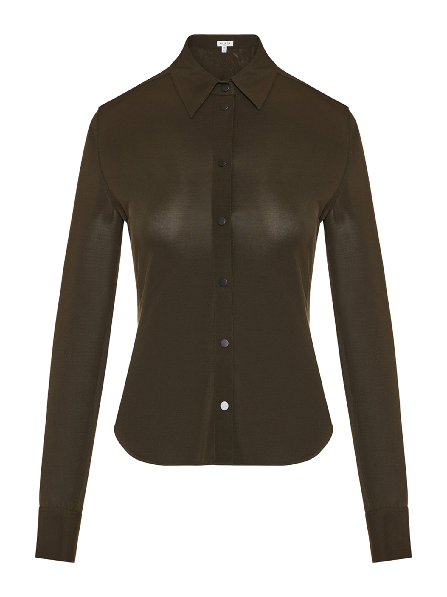 Fitted Button-Down Shirt