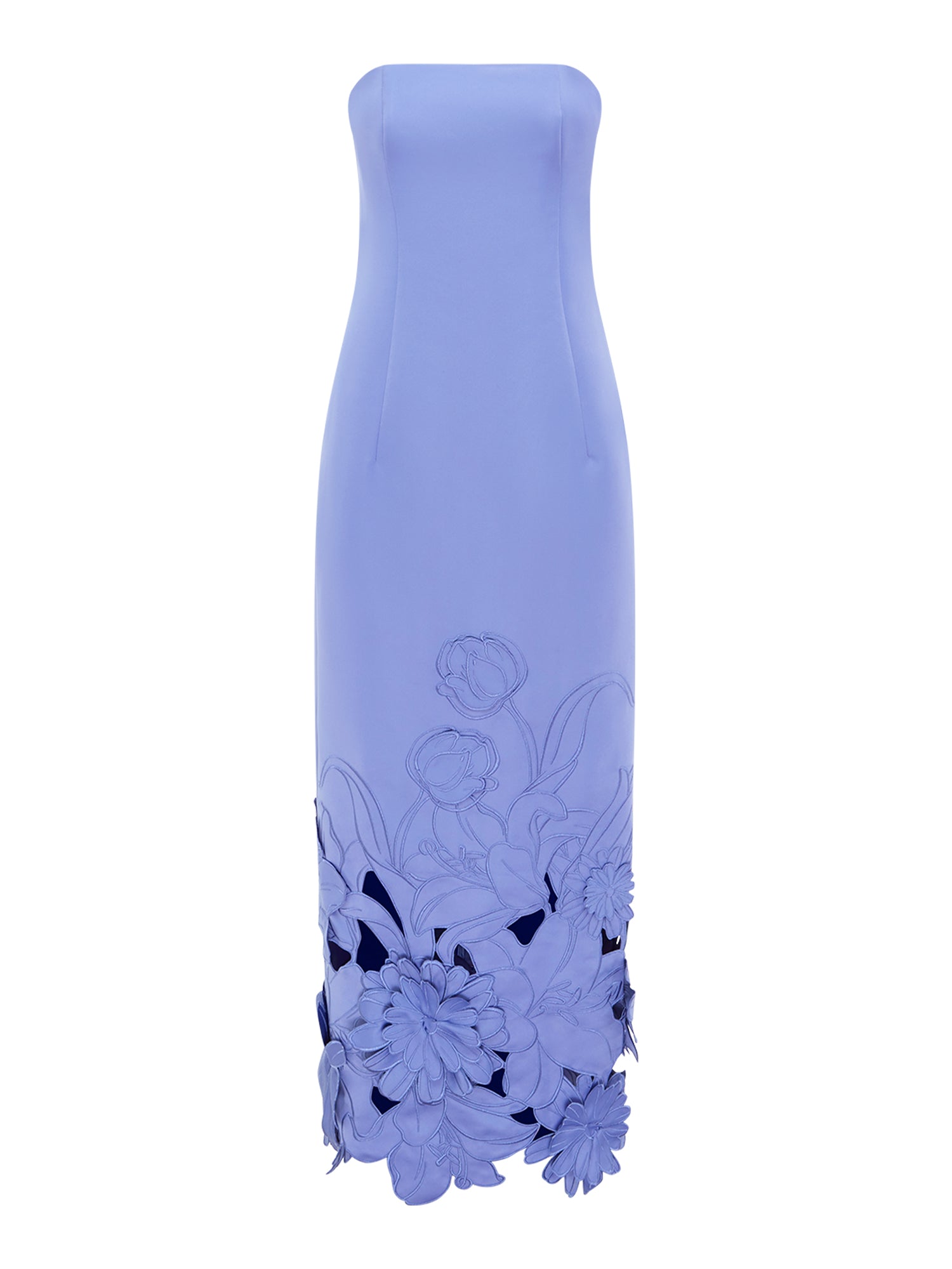 Rayna Appliqué Bustier Maxi Dress