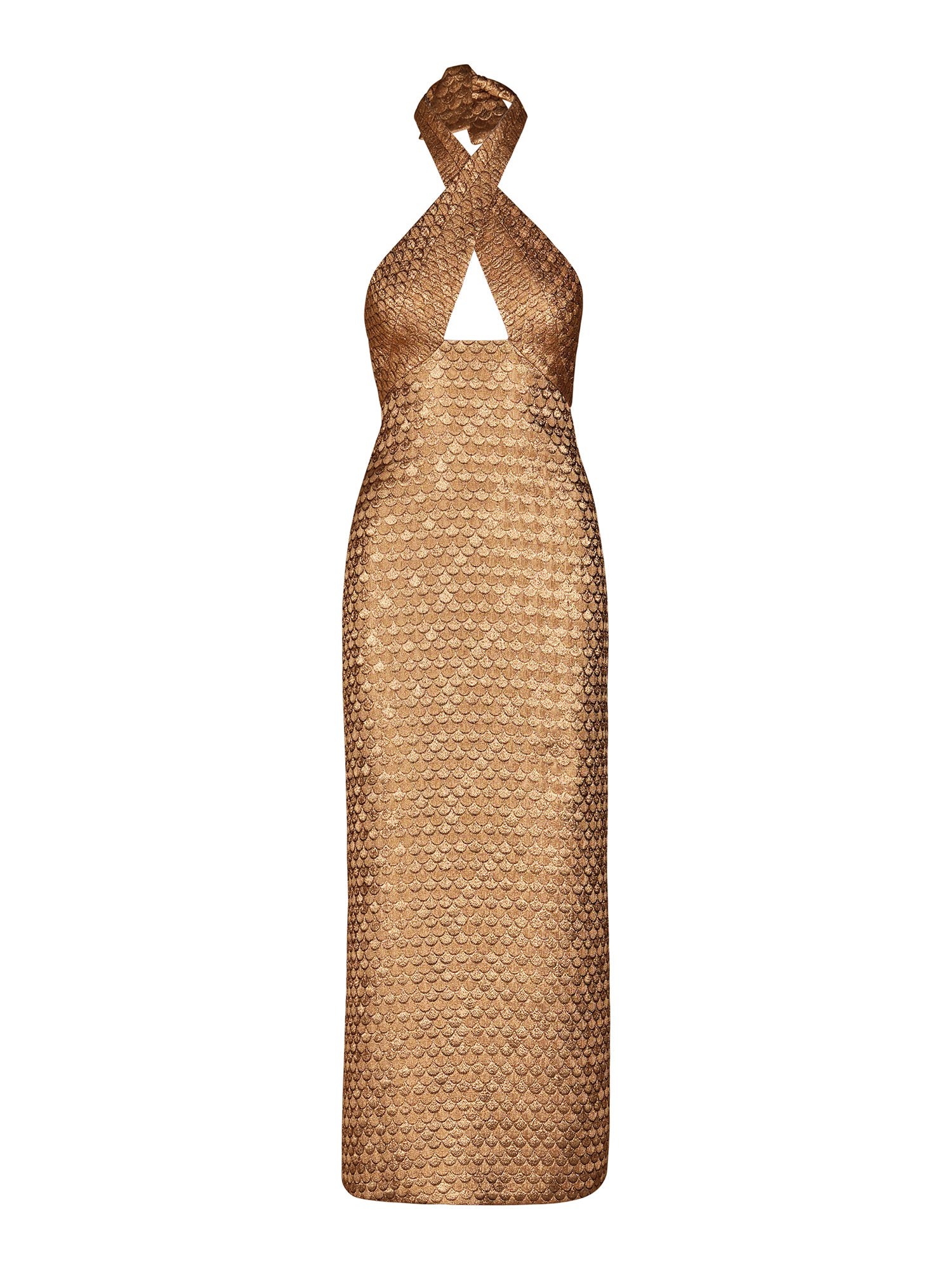 Elegant Expedition Dress