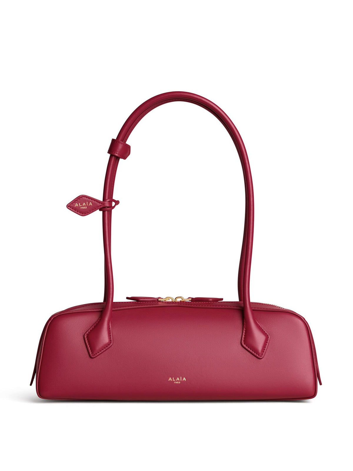 Medium Le Teckel Bag