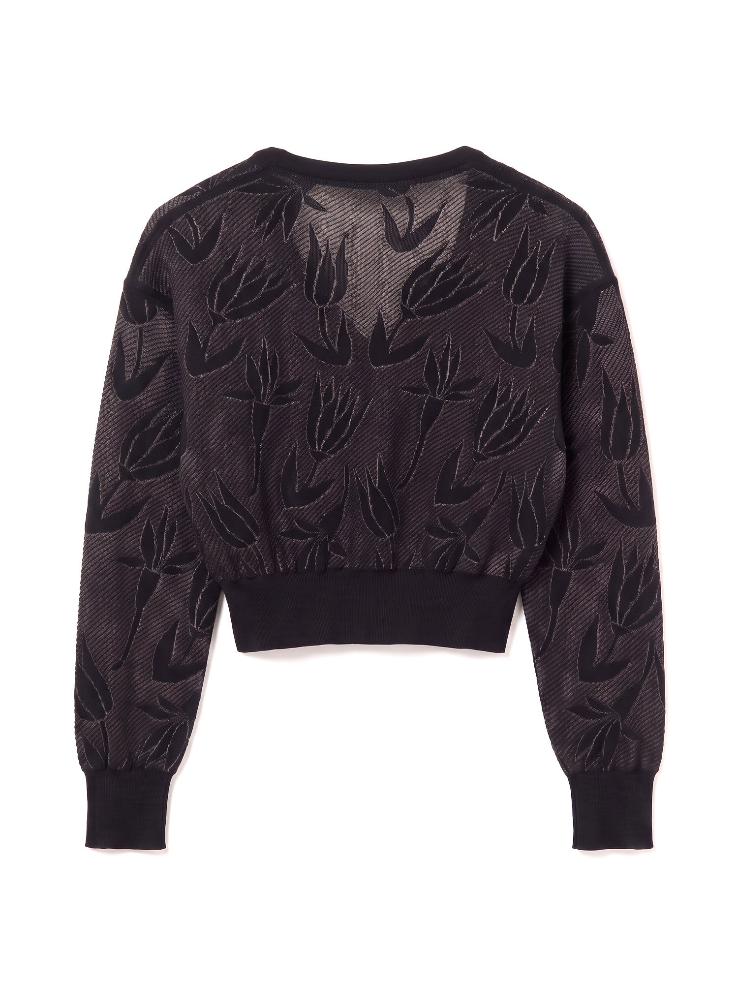 Cara Sheer Floral Jacquard Cropped Sweater