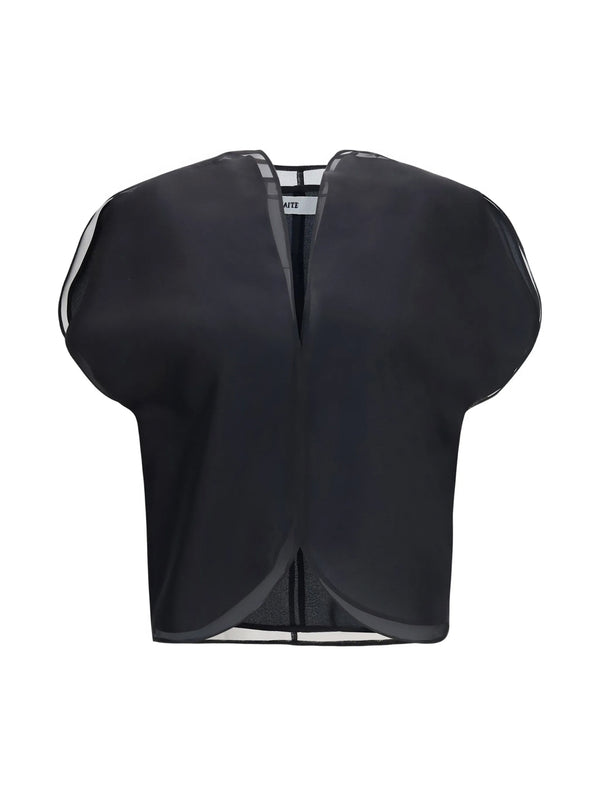 Briar Silk Organza Top