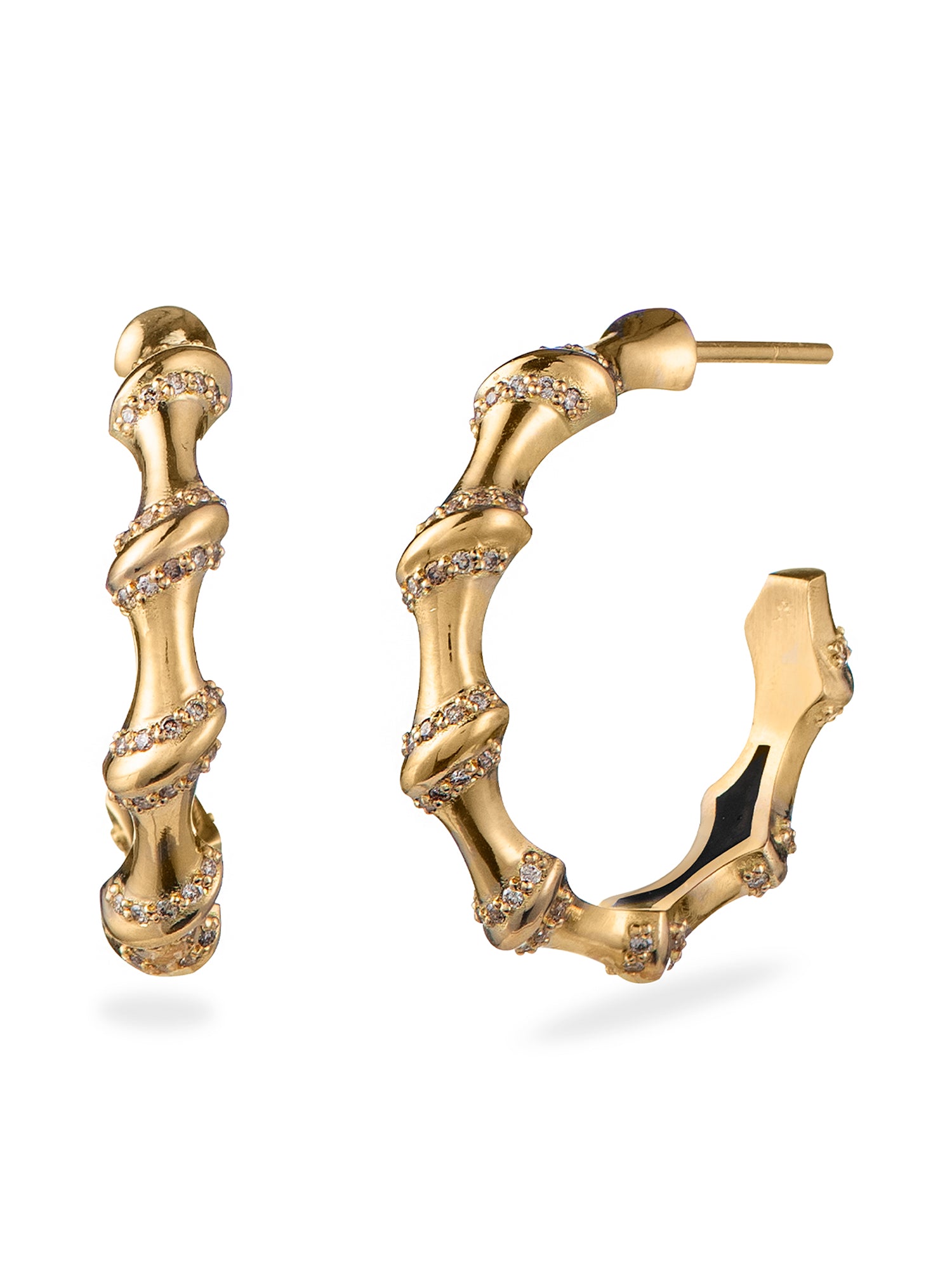Large Bamboo II Earrings