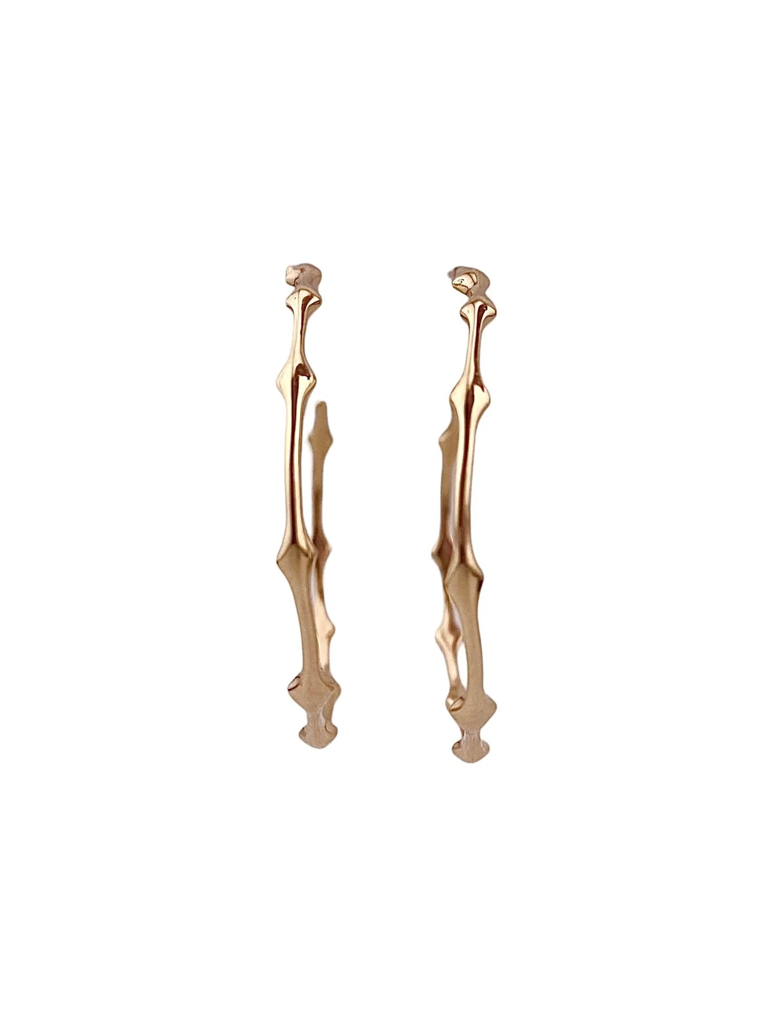 Rani Thorn Medium Hoop Earrings