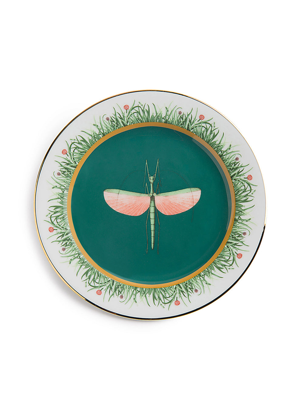 Set of 6 Dessert Plates