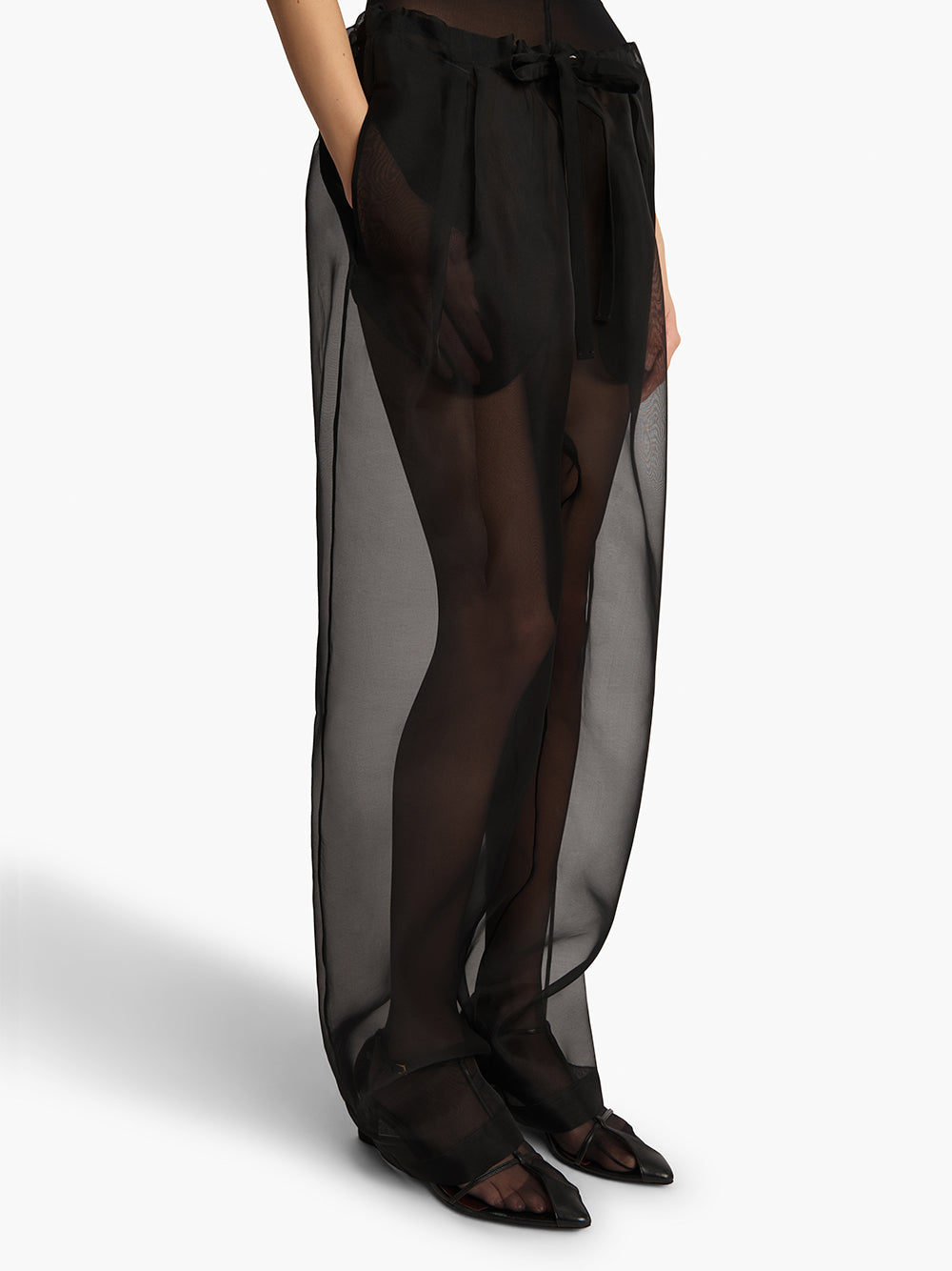 Sheer Organza Trenton Pants