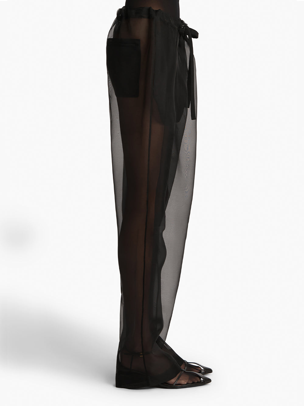 Sheer Organza Trenton Pants