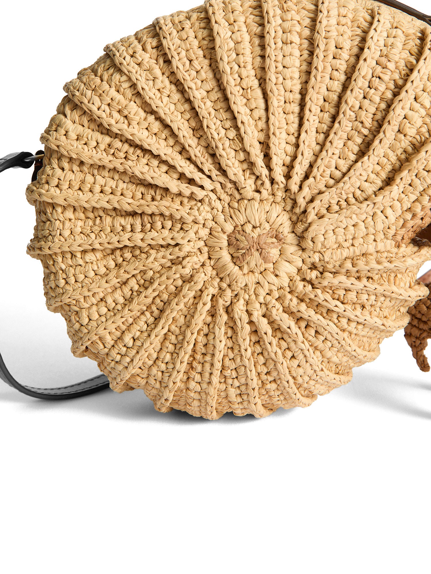 Anya Hindmarch | Raffia Hermit Crab Crossbody Bag – Kirna Zabête