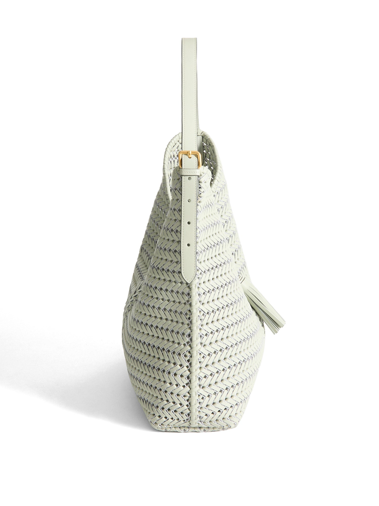 Neeson Tassel Hobo Bag