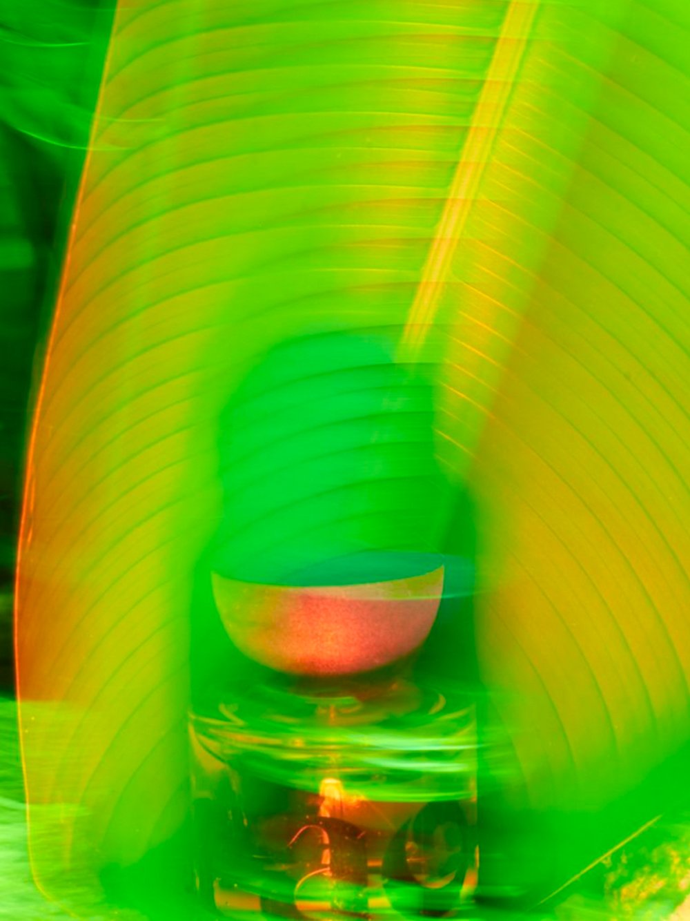 I Am Verdant Eau de Parfum